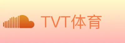 TVT体育 logo